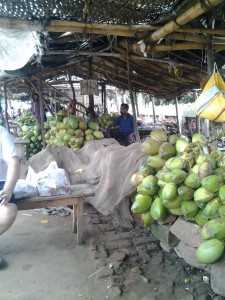 фото 8 кокосы